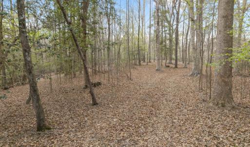 Photo #26 of Off Hilltop Lane, Smithfield, VA 19.1 acres