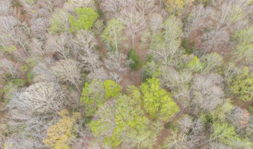 Photo #28 of Off Hilltop Lane, Smithfield, VA 19.1 acres