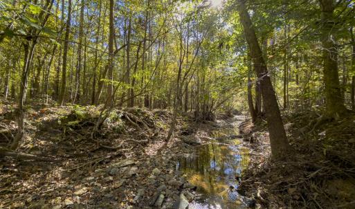 Photo #78 of 784 & 785 Glennie Irvin Road, Semora, NC 146.3 acres