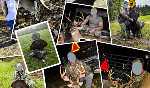 Photo #80 of 784 & 785 Glennie Irvin Road, Semora, NC 146.3 acres