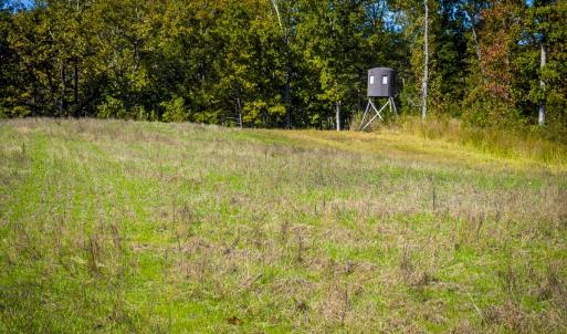 Photo #86 of 784 & 785 Glennie Irvin Road, Semora, NC 146.3 acres