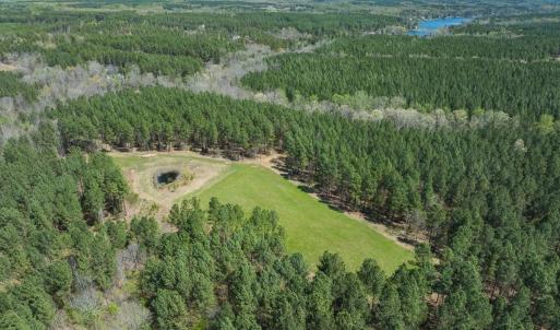 Photo #89 of 784 & 785 Glennie Irvin Road, Semora, NC 146.3 acres