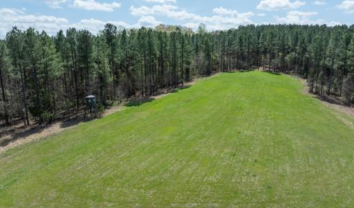 Photo #90 of 784 & 785 Glennie Irvin Road, Semora, NC 146.3 acres