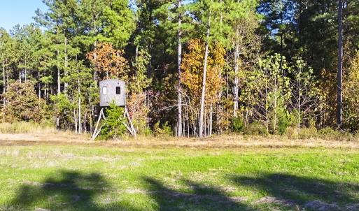 Photo #91 of 784 & 785 Glennie Irvin Road, Semora, NC 146.3 acres