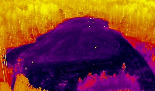 Photo #93 of 784 & 785 Glennie Irvin Road, Semora, NC 146.3 acres