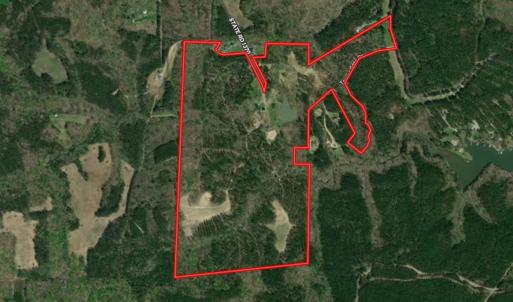 Photo #96 of 784 & 785 Glennie Irvin Road, Semora, NC 146.3 acres