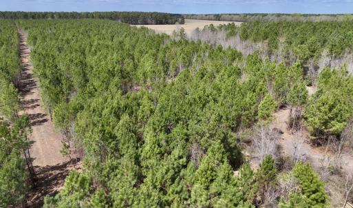 Photo #10 of Lot 1 Guinea Mill Rd, Ernul, NC 25.0 acres