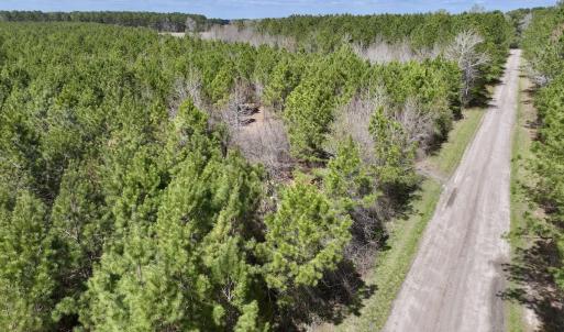 Photo #11 of Lot 1 Guinea Mill Rd, Ernul, NC 25.0 acres