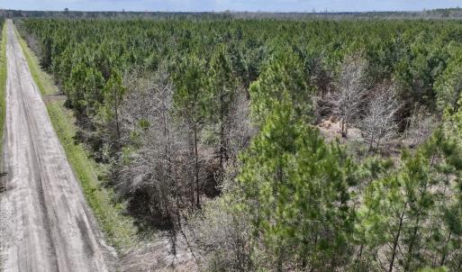 Photo #12 of Lot 1 Guinea Mill Rd, Ernul, NC 25.0 acres