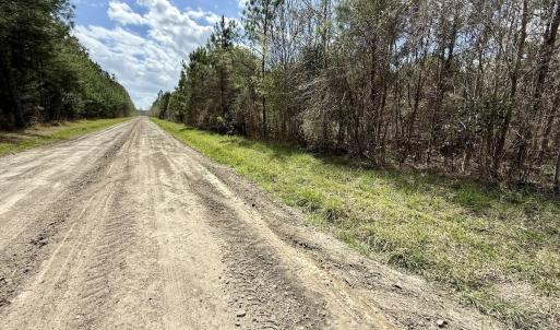 Photo #13 of Lot 1 Guinea Mill Rd, Ernul, NC 25.0 acres