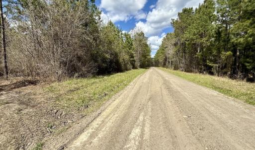 Photo #14 of Lot 1 Guinea Mill Rd, Ernul, NC 25.0 acres