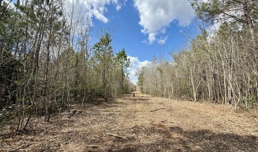 Photo #15 of Lot 1 Guinea Mill Rd, Ernul, NC 25.0 acres