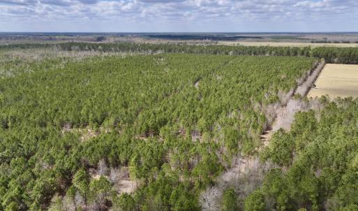 Photo #2 of Lot 1 Guinea Mill Rd, Ernul, NC 25.0 acres