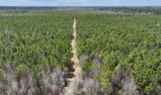 Photo #4 of Lot 1 Guinea Mill Rd, Ernul, NC 25.0 acres