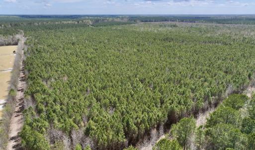 Photo #6 of Lot 1 Guinea Mill Rd, Ernul, NC 25.0 acres