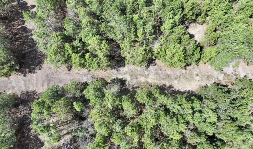 Photo #9 of Lot 1 Guinea Mill Rd, Ernul, NC 25.0 acres