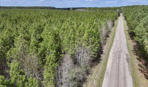 Photo #12 of Lot 2 Guinea Mill Rd, Ernul, NC 30.0 acres