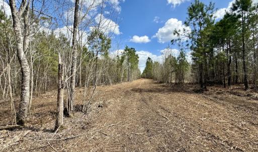 Photo #16 of Lot 2 Guinea Mill Rd, Ernul, NC 30.0 acres
