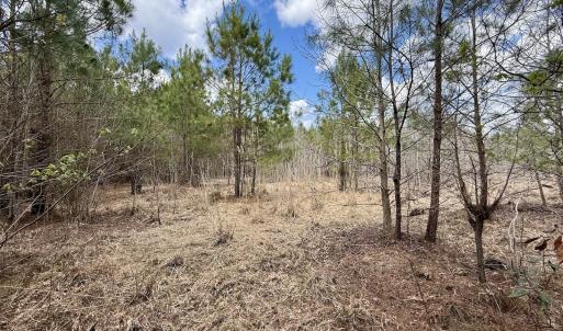 Photo #17 of Lot 2 Guinea Mill Rd, Ernul, NC 30.0 acres
