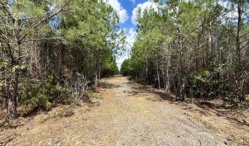 Photo #18 of Lot 2 Guinea Mill Rd, Ernul, NC 30.0 acres