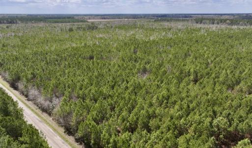 Photo #2 of Lot 2 Guinea Mill Rd, Ernul, NC 30.0 acres