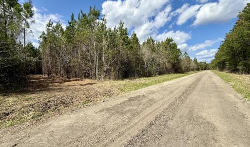 Photo #23 of Lot 2 Guinea Mill Rd, Ernul, NC 30.0 acres