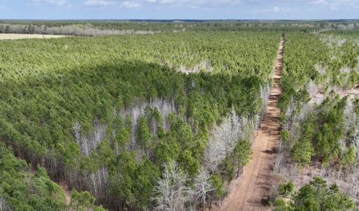 Photo #8 of Lot 2 Guinea Mill Rd, Ernul, NC 30.0 acres