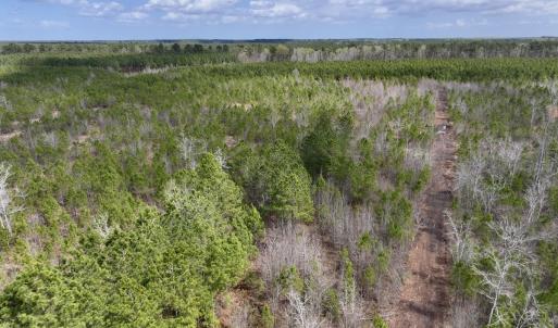 Photo #10 of Lot 4  Guinea Mill Rd, Ernul, NC 34.0 acres