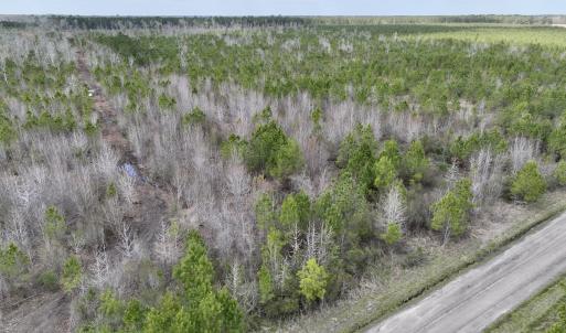 Photo #11 of Lot 4  Guinea Mill Rd, Ernul, NC 34.0 acres