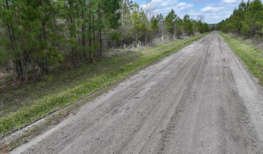 Photo #16 of Lot 4  Guinea Mill Rd, Ernul, NC 34.0 acres