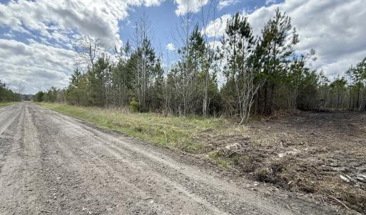 Photo #17 of Lot 4  Guinea Mill Rd, Ernul, NC 34.0 acres