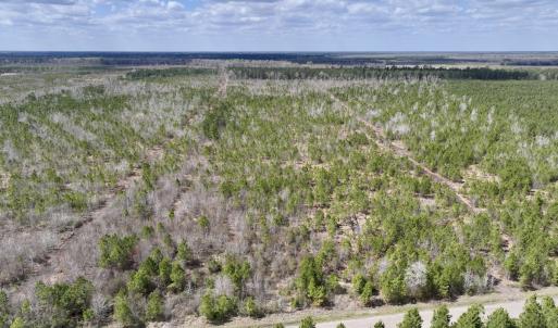 Photo #1 of Lot 4  Guinea Mill Rd, Ernul, NC 34.0 acres