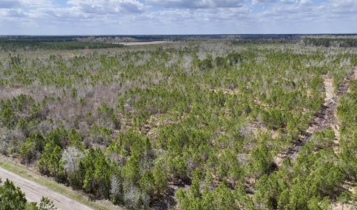 Photo #2 of Lot 4  Guinea Mill Rd, Ernul, NC 34.0 acres