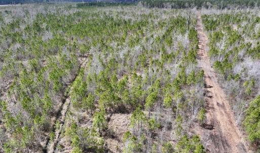 Photo #3 of Lot 4  Guinea Mill Rd, Ernul, NC 34.0 acres