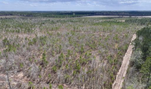 Photo #5 of Lot 4  Guinea Mill Rd, Ernul, NC 34.0 acres