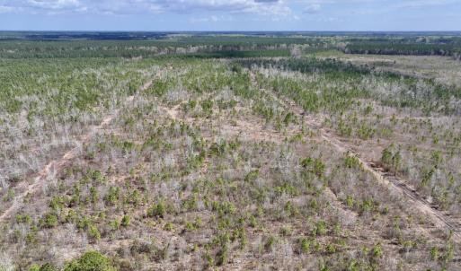 Photo #7 of Lot 4  Guinea Mill Rd, Ernul, NC 34.0 acres