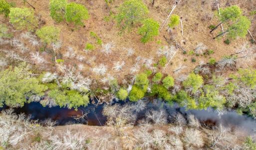 Photo #8 of Off of Woodwind Dr, Vass, NC 134.5 acres