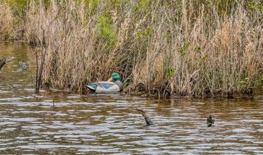 Photo #11 of Off of Woodwind Dr, Vass, NC 134.5 acres