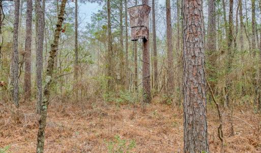 Photo #13 of Off of Woodwind Dr, Vass, NC 134.5 acres