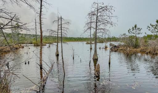 Photo #15 of Off of Woodwind Dr, Vass, NC 134.5 acres