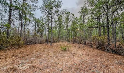 Photo #18 of Off of Woodwind Dr, Vass, NC 134.5 acres