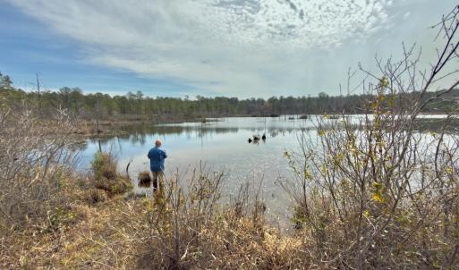 Photo #1 of Off of Woodwind Dr, Vass, NC 134.5 acres