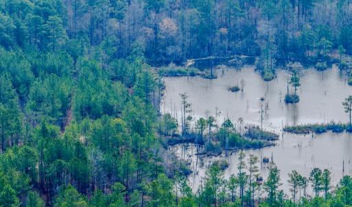 Photo #38 of Off of Woodwind Dr, Vass, NC 134.5 acres