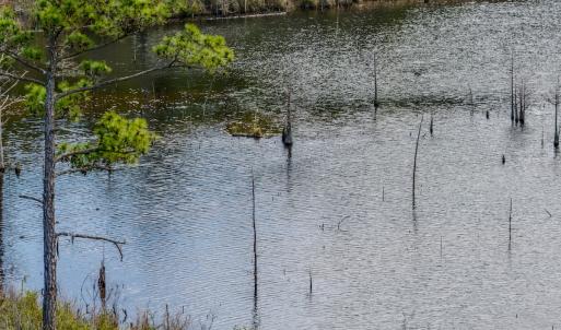 Photo #40 of Off of Woodwind Dr, Vass, NC 134.5 acres