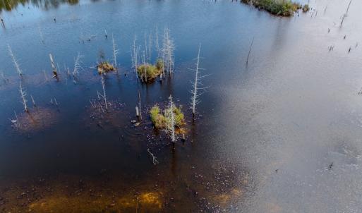 Photo #44 of Off of Woodwind Dr, Vass, NC 134.5 acres