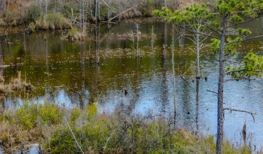 Photo #45 of Off of Woodwind Dr, Vass, NC 134.5 acres
