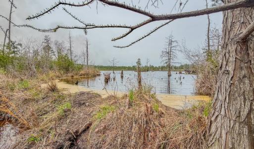 Photo #11 of Off of Woodwind Dr, Vass, NC 134.5 acres