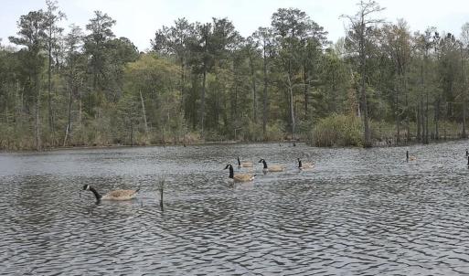 Photo #15 of Off of Woodwind Dr, Vass, NC 134.5 acres