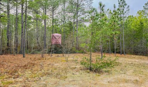 Photo #16 of Off of Woodwind Dr, Vass, NC 134.5 acres