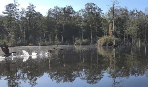 Photo #2 of Off of Woodwind Dr, Vass, NC 134.5 acres